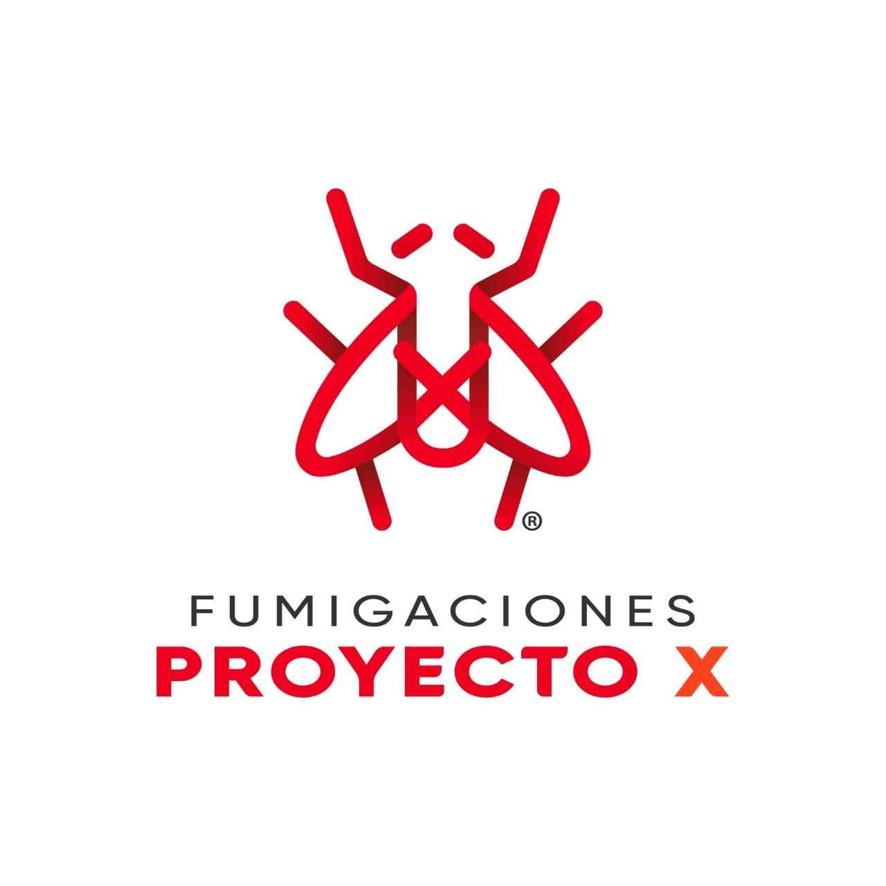 Proyecto X