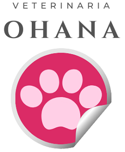 Ohana Vet Store